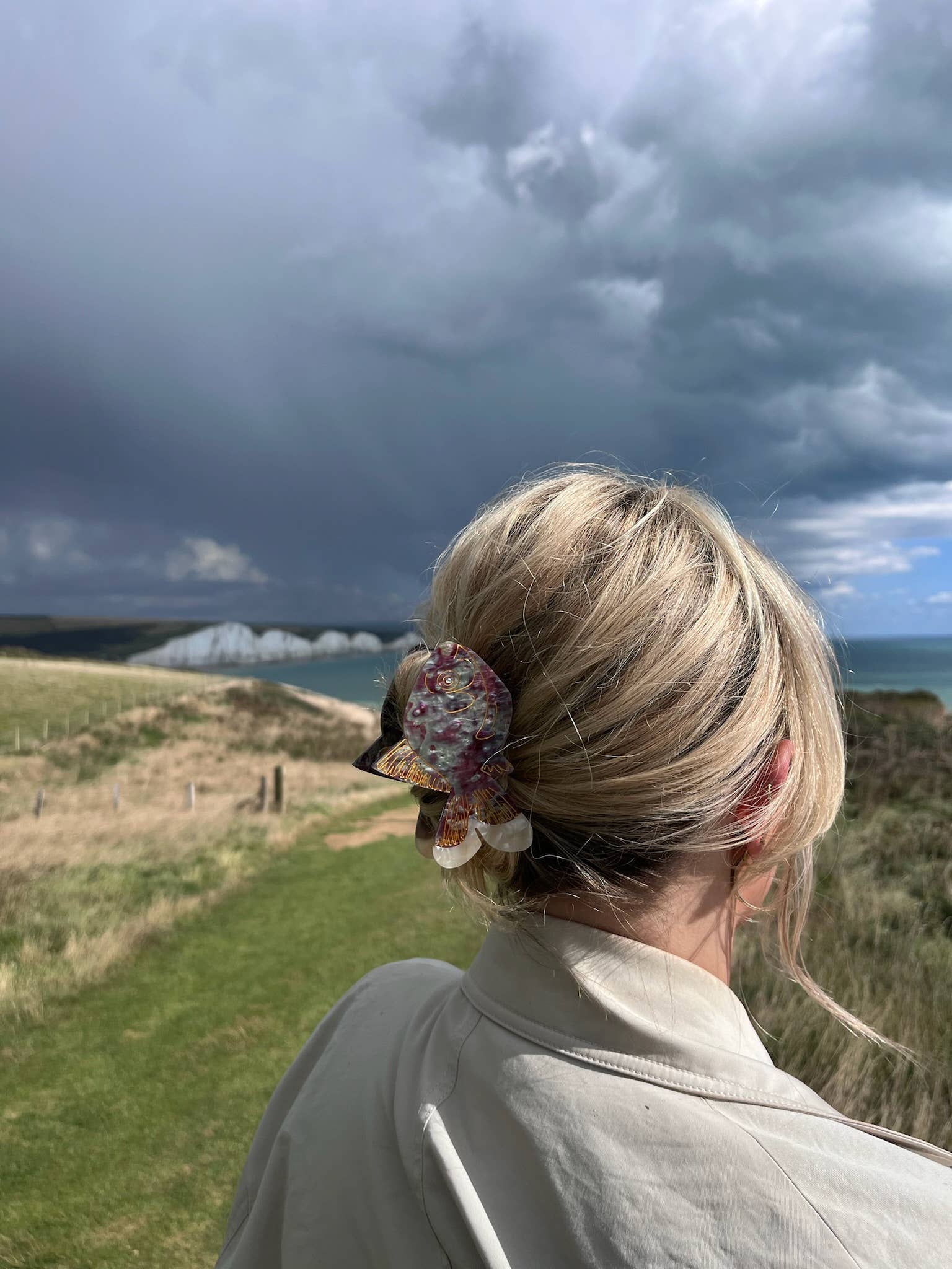 Solar Eclipse | Goldfish Claw Hair Clip