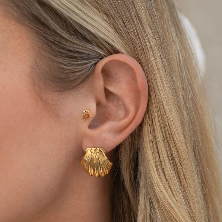Big Scallop Stud Earrings