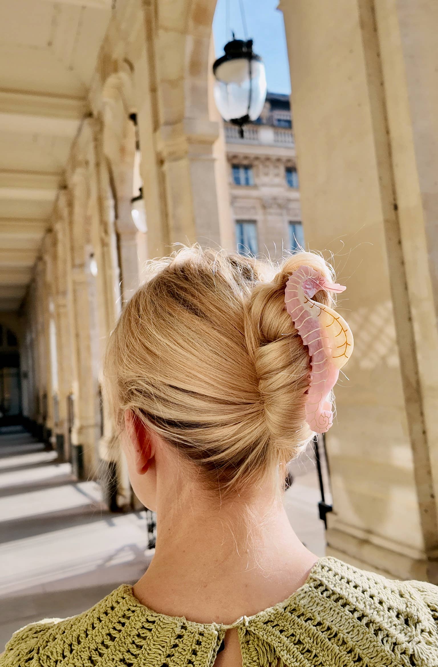 Solar Eclipse | Seahorse Claw Hair Clip