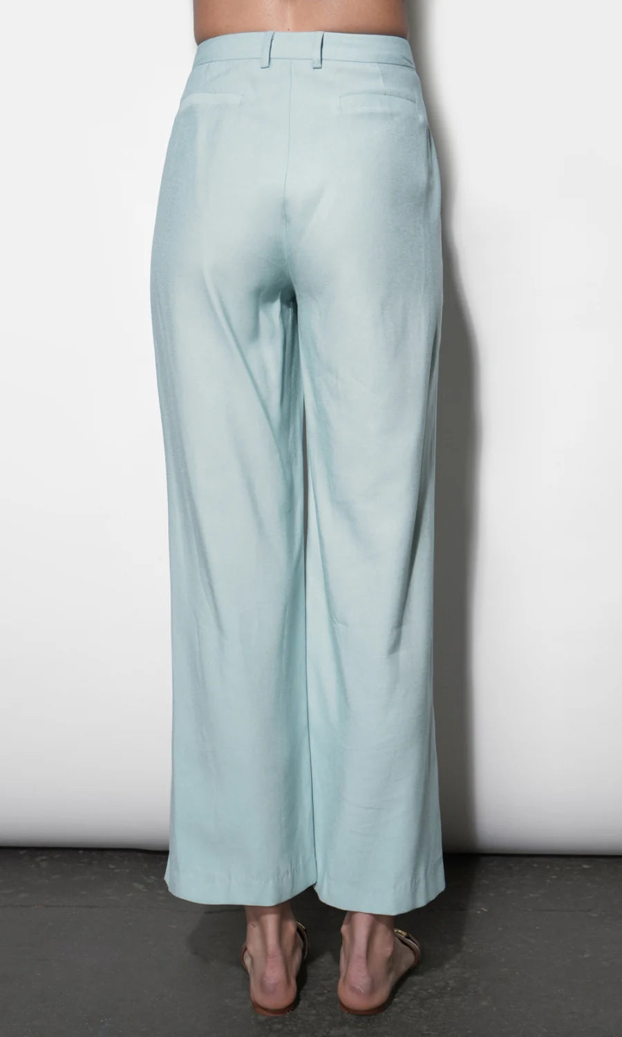 Greylin Yuri Sky Blue Wide Leg Pleated Pants