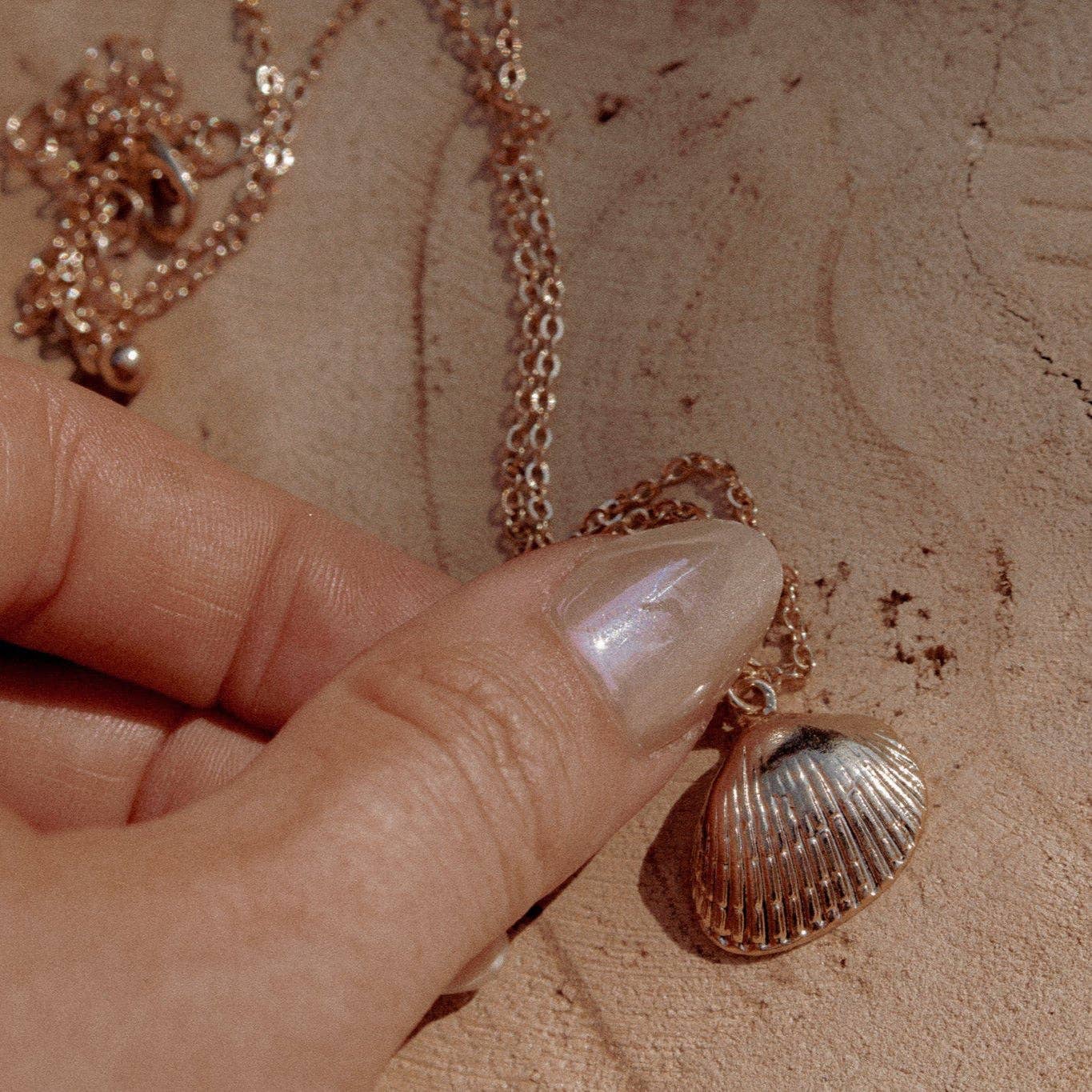 Jennie Shell Necklace