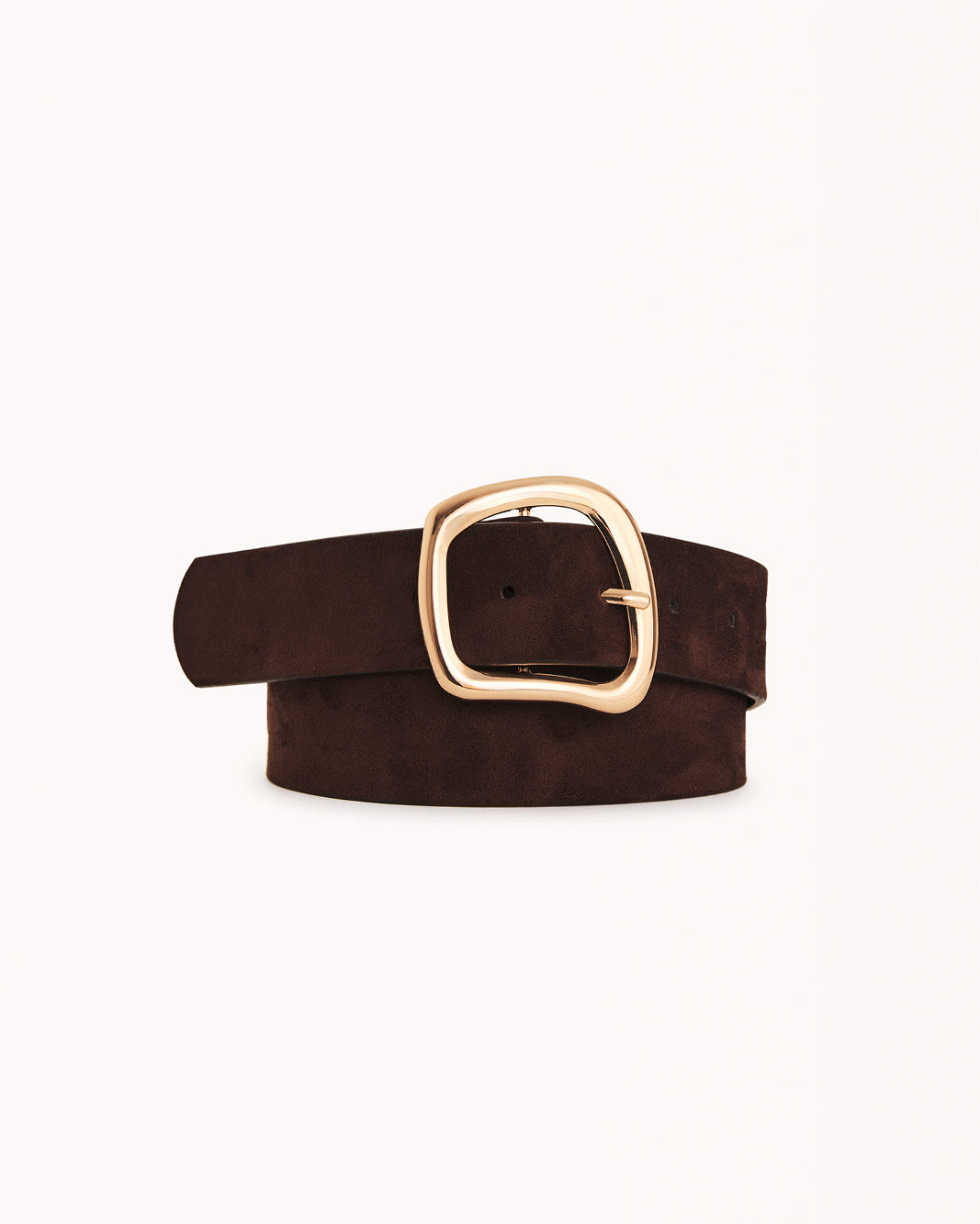 Brown belt with a gold buckle on a white background. Carter Belt Dark Cacao Suede