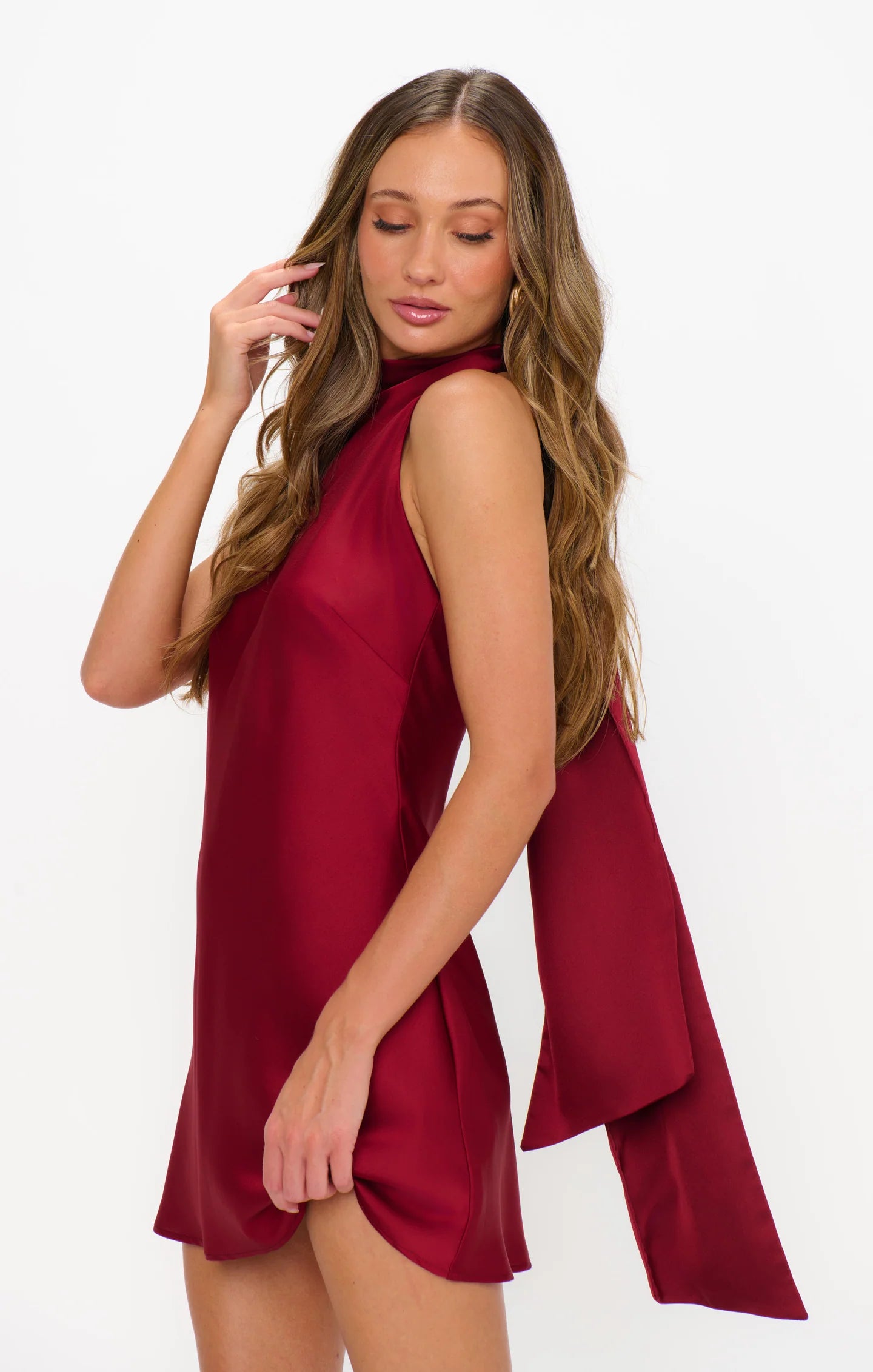 Lisa Mini Dress Cranberry