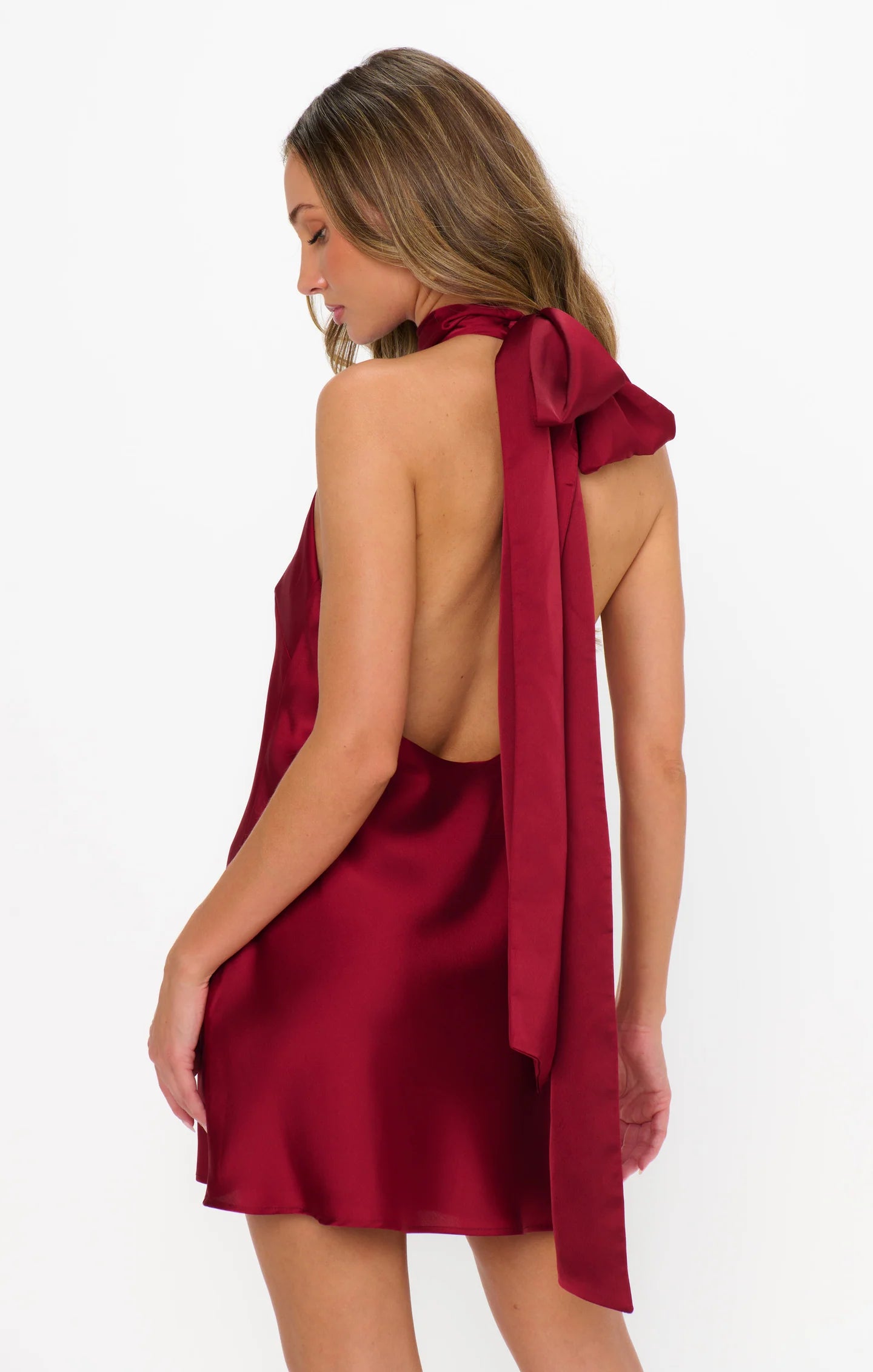 Lisa Mini Dress Cranberry