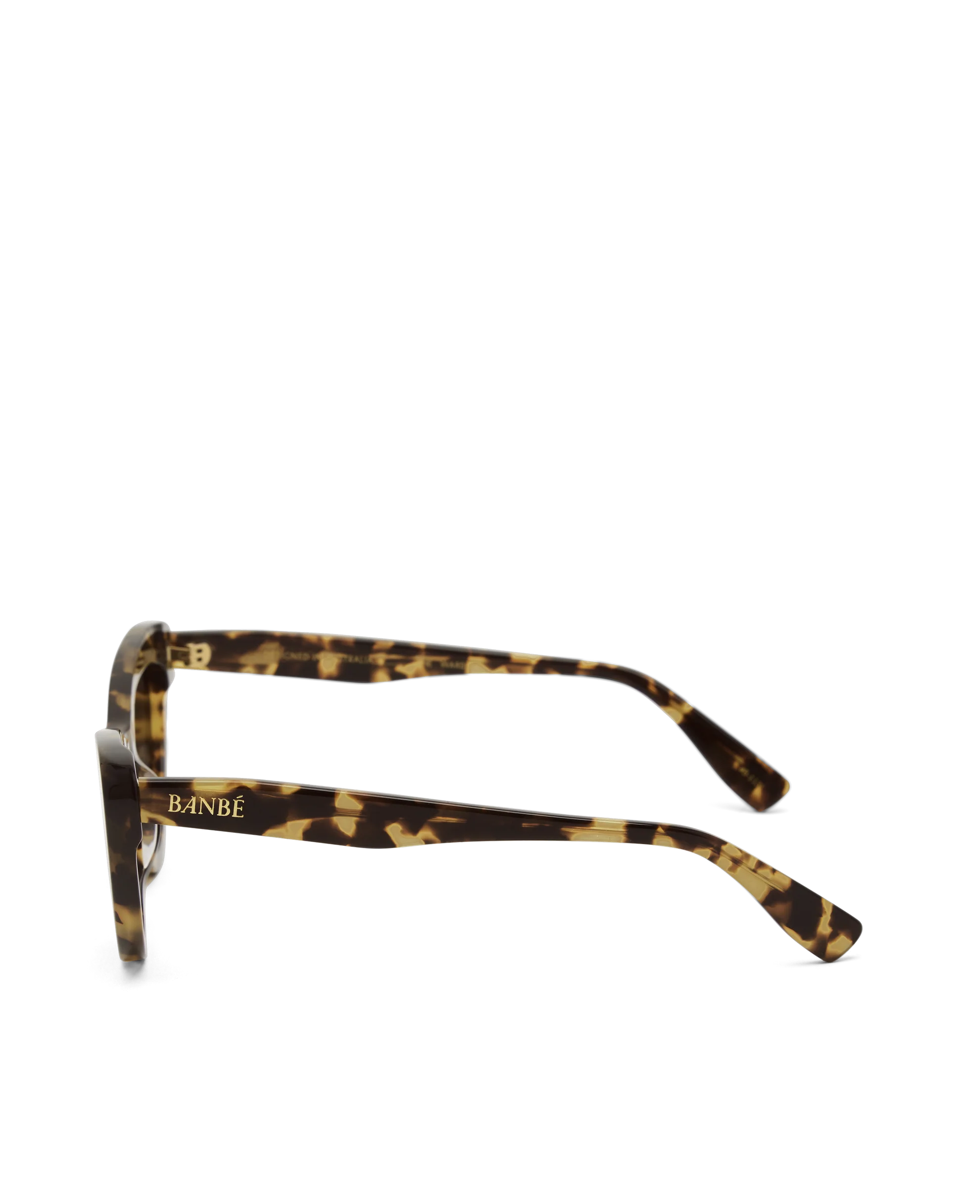 The Ward Sunglasses | Cloud Tort Choc