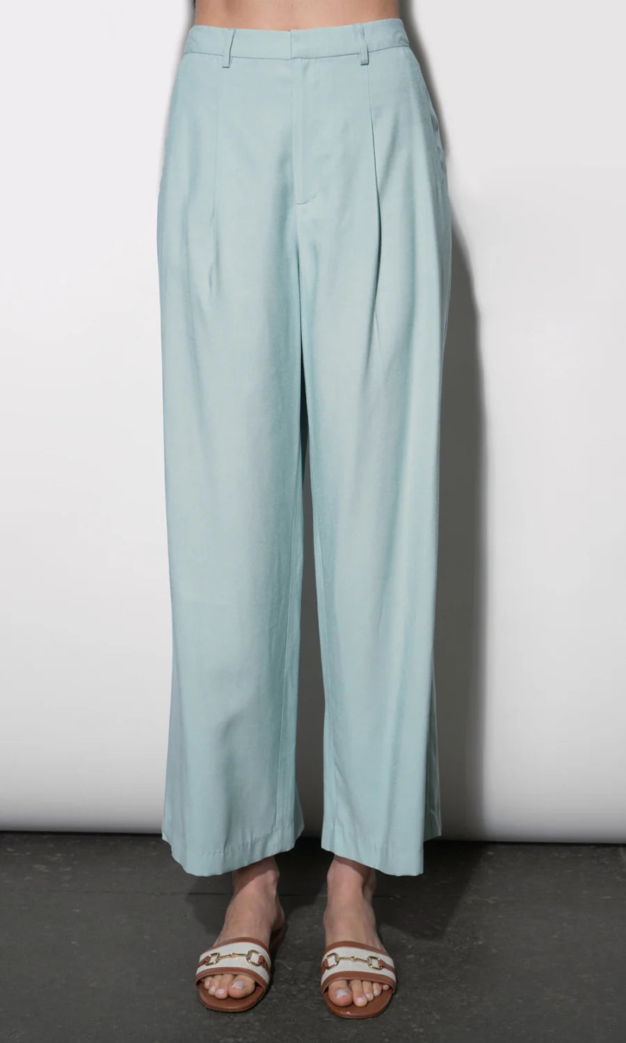 Greylin Yuri Sky Blue Wide Leg Pleated Pants