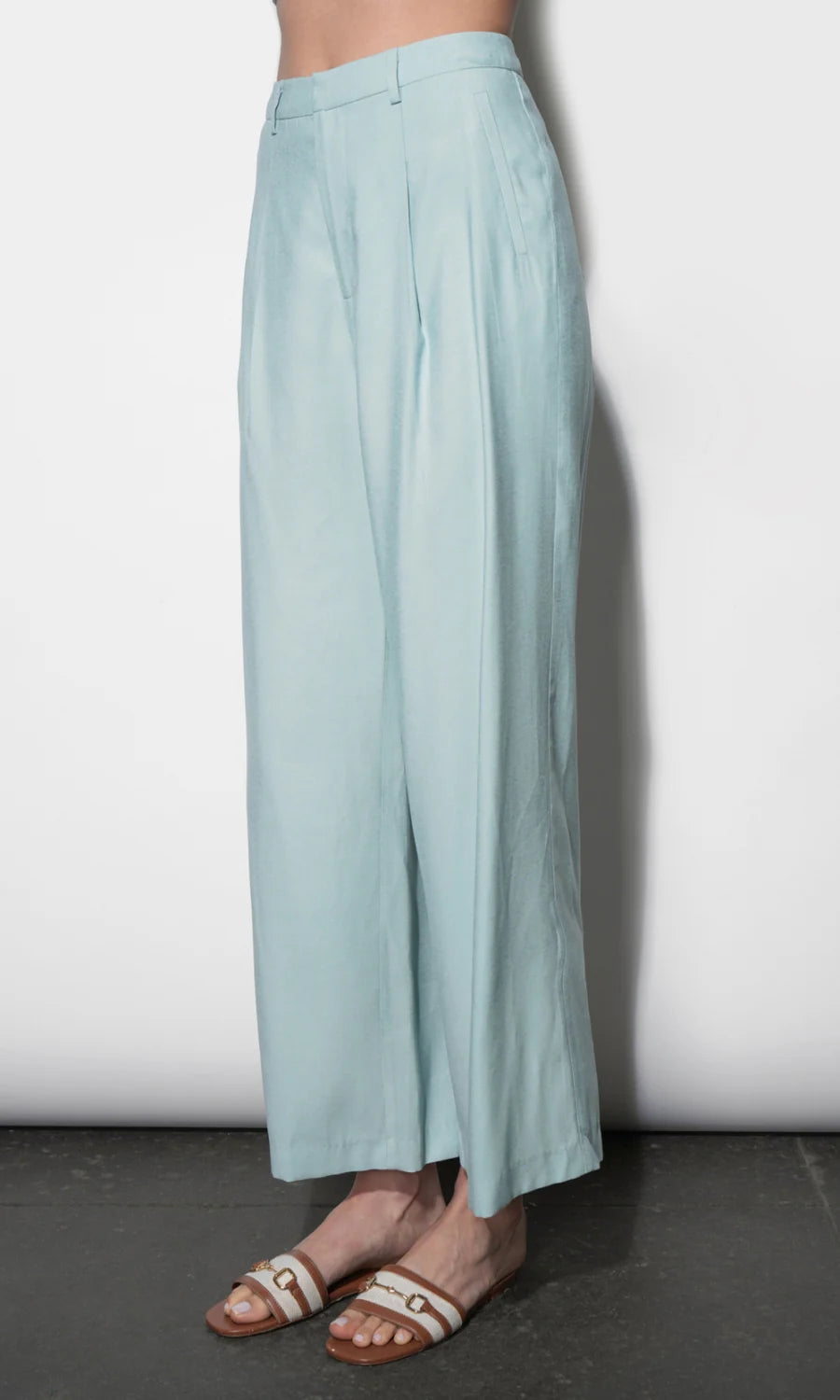 Greylin Yuri Sky Blue Wide Leg Pleated Pants