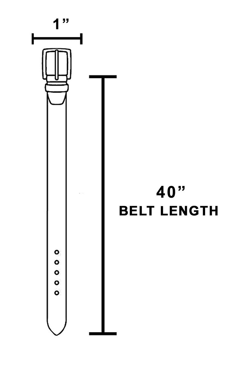 Camila Black Belt | Silver Metal