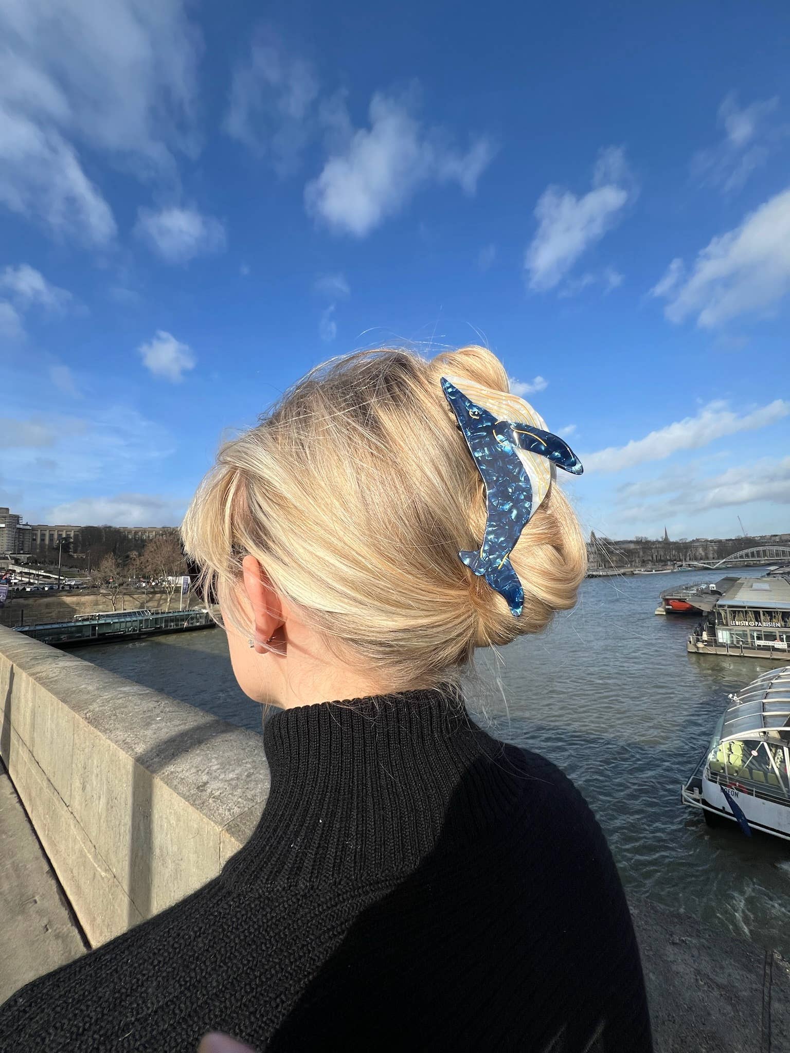 Blue Whale Hair Claw Clip