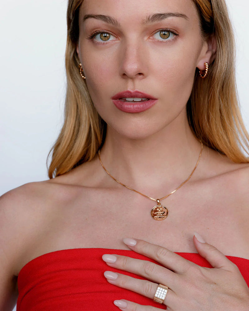 LUV AJ | The Mini Snake Chain Hoops